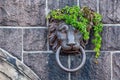 Close-up shot of a metallic lion door knocker on a stone wall