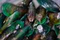 A close up shot of mussel seafood