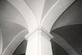 Close-up shot of a of new gothic style column and top part of arcade in Siena, Tuscany (black and white)