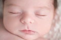 Close-up Shot of a Newborn Baby Boy's Face Royalty Free Stock Photo