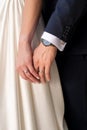 Close up shot of newlyweds holding hands. Just married husband and wife wedding rings close up. Royalty Free Stock Photo