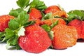 Close up Shot of Nine Fresh Organic Red Strawberries Royalty Free Stock Photo