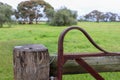 Close-up shot of an old wrought iron farm gate in the field with the background of beautiful trees