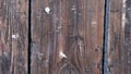 Close-up shot of an old, wooden fence with multiple pins and nails