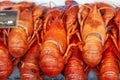 Close-up shot of orange lobsters for sale.