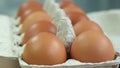 close-up shot of a pack of Chicken eggs.