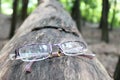 A close-up shot of a pair of eyeglasses resting on a weathered log in a forest setting.
