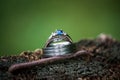 Close up shot of a pair of wedding rings on a fence post at a wedding