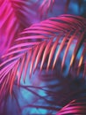 A close-up shot of a palm leaf on a blue background, perfect for design and photography projects Royalty Free Stock Photo