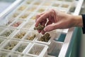 close-up shot of patient& x27;s hand, sifting through various strains of medical marijuana to find the most therapeutic