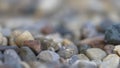 Close up shot of pebbles on ground