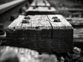 Black and white photo of an old railroad track. Shallow depth of field.