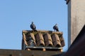 Close-up shot of pigeons sitting on a chimney rooftop