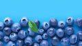 close-up shot of a pile of fresh, ripe blueberries on a bright turquoise background with copy space