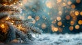 Close Up of a Pine Tree Covered in Snow Royalty Free Stock Photo