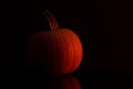 Close up shot of a pumpkin with monochrome orange colors