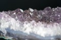 Close-up shot of purple quartz with mineral crystals on a black background