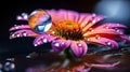 A close-up shot of a raindrop on flower, with a focus on reflect