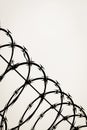 Close up shot of razor wire fence