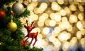 Close up shot of red glossy Christmas eve decor items hanging decorating on green Xmas pine tree branch with sphere balls and Royalty Free Stock Photo