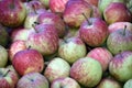 Close up shot of red and green fresh apples Royalty Free Stock Photo