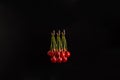 Close up shot of red shiny ripe cherry bunch isolated on dark background with copy space for text Royalty Free Stock Photo