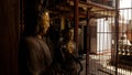 Close up shot of religious Buddhist statues in Sri Lanka