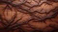 Close-up shot revealing the complex texture of brown wood Royalty Free Stock Photo