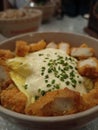 Close up shot of ricebowl with chicken nugget and tartar sauce Royalty Free Stock Photo