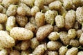 Close up shot of ripe white mulberry fruit.