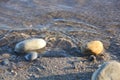 Close-up shot of rocks in a lake with sunlight Royalty Free Stock Photo