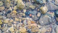 Wet rocks in the clear sea water. Stone background image.