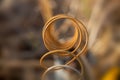 Close up shot of rusty spring from sprinkler head Royalty Free Stock Photo