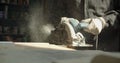 Close-up shot of senior male master working at wood factory grinding with headsaw the wooden board.