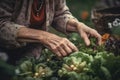 Close up shot of senior woman harvesting veggies from her garden.