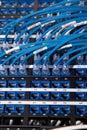 Close up shot of router cables in a data centre cabinet Royalty Free Stock Photo