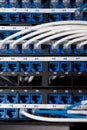 Close up shot of router cables in a data centre cabinet Royalty Free Stock Photo