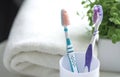Close up shot of set of multicolored toothbrushes