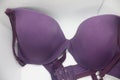 Close-up shot of the sexy purple seamless smooth women underwire push up bra. Royalty Free Stock Photo