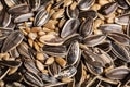 A Close-up shot of shelled and unshelled sunflower seeds in pile Royalty Free Stock Photo