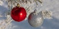 Close up shot of shiny red and glittering white Christmas balls hanging off a Christmas fir tree outside, partially covered in Royalty Free Stock Photo