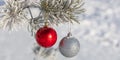 Close up shot of shiny red and glittering white Christmas balls hanging off a Christmas fir tree outside, partially covered in Royalty Free Stock Photo