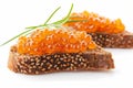 Vibrant Herring Caviar on Rye Bread Royalty Free Stock Photo