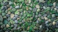 Close-Up of Rock Wall With Plants. Generative AI Royalty Free Stock Photo