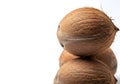 Fresh Coconuts Stacked on White Background Royalty Free Stock Photo