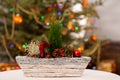 Nearby stands a Christmas reed referring to the ongoing Christmas season. In the background is a blurred background with Royalty Free Stock Photo