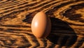Single Brown Egg on Wooden Surface Royalty Free Stock Photo