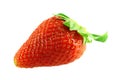 Close up shot of single fresh ripe strawberry Royalty Free Stock Photo