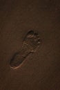 Close-up shot of a single human footprint in the sand