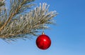 Close up shot of a single red shiny Christmas ball decoration hanging off a Christmas fir tree outside, partially covered in snow Royalty Free Stock Photo